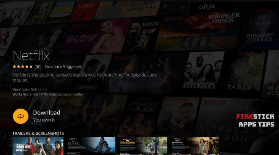 Tap the Download button to get the Netflix app on your Fire TV